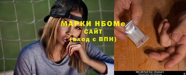 шишки Алзамай