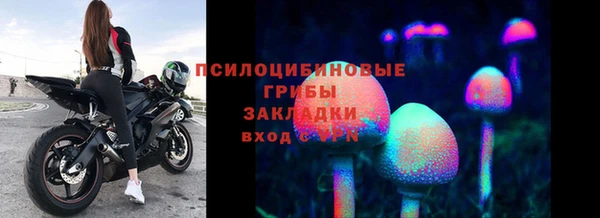 шишки Алзамай