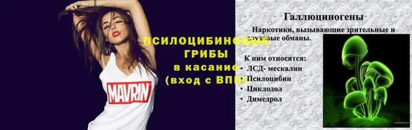 шишки Алзамай